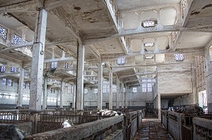 ARCHITECTURE INTERIEURE DES ANCIENS ABATTOIRS, ARCHITECTURE EN BETON ARME, HERITAGE DU MARECHAL LYAUTEY, CASABLANCA, MAROC, AFRIQUE 