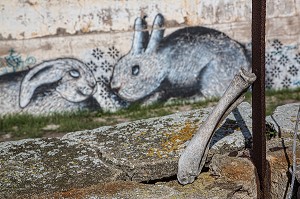 OS ET GRAFFITI REPRESENTANT DES LAPINS SUR UN MUR DES ANCIENS ABATTOIRS DE CASABLANCA, MAROC, AFRIQUE 