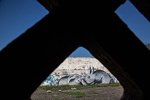 GRAFFITI REPRESENTANT DES LAPINS SUR UN MUR DES ANCIENS ABATTOIRS DE CASABLANCA, MAROC, AFRIQUE 