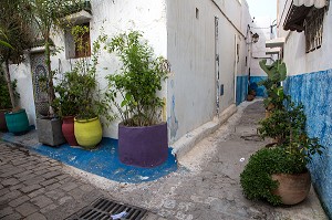 MAISONS TRADITIONNELLES AUX MURS BLEUS ET BLANCS DANS LES RUELLES DE LA KASBAH DES OUDAYAS, RABAT, MAROC, AFRIQUE 