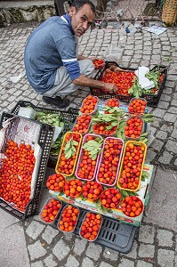 VENDEUR DE FRUITS ROUGES (ARBOUSES), SOUK DE LA VIEILLE MEDINA, RABAT, MAROC, AFRIQUE 