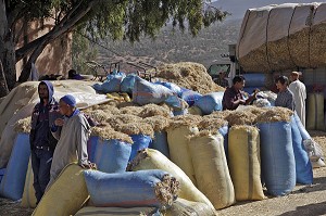 VENTE DE PAILLE SUR LE SOUK, MARCHE POPULAIRE BERBERE D’ASNI, VALLEE AU PIED DU HAUT-ATLAS, MAROC 