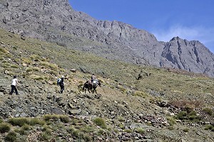 RANDONNEE PEDESTRE, MONTAGNE D'ANGOUR, HAUT-ATLAS, MAROC 