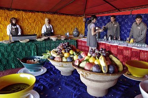 LE PETIT DEJEUNER SOUS LA TENTE, DOMAINE DE TERRES D'AMANAR, TAHANAOUTE, AL HAOUZ, MAROC 