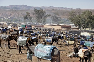 PARKING DES ANES SUR LE MARCHE BERBERE DE TAHANAOUTE, AL HAOUZ, MAROC 