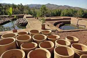 DEVELOPPEMENT DURABLE, STATION DE TRAITEMENT DES EAUX USEES, FILTRATION NATURELLE PAR LES PLANTES, DOMAINE DE TERRES D’AMANAR, TAHANAOUTE, AL HAOUZ, MAROC 