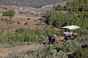 PROMENADE EN CALECHE, DOMAINE DE TERRES D’AMANAR, TAHANAOUTE, AL HAOUZ, MAROC 