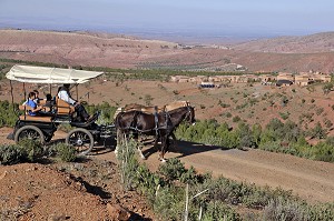 PROMENADE EN CALECHE, DOMAINE DE TERRES D’AMANAR, TAHANAOUTE, AL HAOUZ, MAROC 