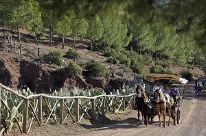 PROMENADE EN CALECHE, DOMAINE DE TERRES D’AMANAR, TAHANAOUTE, AL HAOUZ, MAROC 