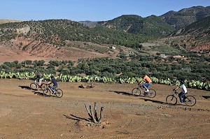 RANDONNEE A VTT AVEC UN GUIDE AUTOUR DU VILLAGE BERBERE DE TAHANAOUTE, ACTIVITE SPORTIVE DU DOMAINE DE TERRES D'AMANAR, AL HAOUZ, MAROC 