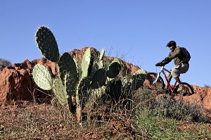GUIDE MAROCAIN ANIMANT UNE RANDONNEE A VTT AUTOUR DU VILLAGE BERBERE DE TAHANAOUTE, ACTIVITE SPORTIVE DU DOMAINE DE TERRES D'AMANAR, AL HAOUZ, MAROC 