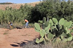 RANDONNEE A VTT DANS LE VILLAGE BERBERE DE TAHANAOUTE, ACTIVITE SPORTIVE DU DOMAINE DE TERRES D'AMANAR, AL HAOUZ, MAROC 