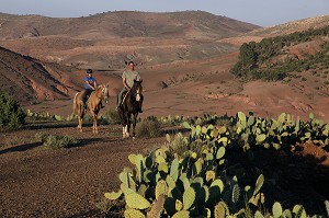 RANDONNEE A CHEVAL DANS LA NATURE, ACTIVITE SPORTIVE DU DOMAINE DE TERRES D'AMANAR, TAHANAOUTE, AL HAOUZ, MAROC 