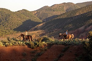 RANDONNEE A CHEVAL DANS LA NATURE, ACTIVITE SPORTIVE DU DOMAINE DE TERRES D'AMANAR, TAHANAOUTE, AL HAOUZ, MAROC 