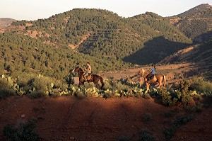 RANDONNEE A CHEVAL DANS LA NATURE, ACTIVITE SPORTIVE DU DOMAINE DE TERRES D'AMANAR, TAHANAOUTE, AL HAOUZ, MAROC 