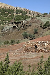 ELEVAGE DE CHEVRES, VALLEE D’ASNI, HAUT-ATLAS, MAROC 