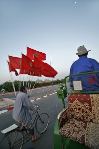 PROMENADE EN CALECHE, MARRAKECH, MAROC, MAGHREB, AFRIQUE 