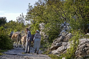 MONTENEGRO, VOYAGE TEMPOREL AU COEUR DES BALKANS 