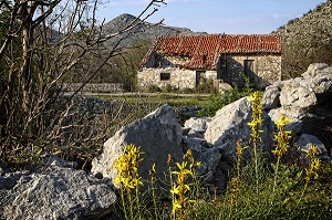 MONTENEGRO, VOYAGE TEMPOREL AU COEUR DES BALKANS 