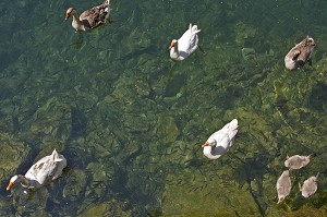 DECOUVERTE DU MONTENEGRO 