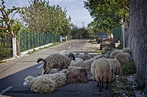 MONTENEGRO, VOYAGE TEMPOREL AU COEUR DES BALKANS 