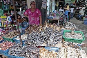 ETALAGE DE POISSONS SECHES, MARCHE DE KAWTHAUNG, VILLE APPELEE VICTORIA POINT SOUS LA DOMINATION BRITANNIQUE (1824-1948), MYANMAR, SUD DE LA BIRMANIE, ASIE 