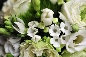 MARIAGE TRADITIONNEL EN FRANCE 