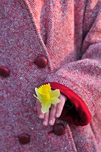 FLORE DE LA BAIE DE SOMME, FRANCE 
