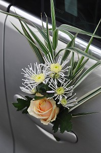 MARIAGE TRADITIONNEL, FRANCE 
