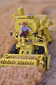 AGRICULTURE, BAIE DE SOMME, FRANCE 