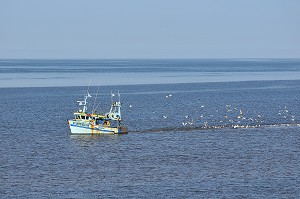 PECHE EN BAIE DE SOMME, FRANCE 