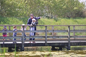 ILLUSTRATION PICARDIE, FRANCE 