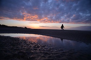 ILLUSTRATION BAIE DE SOMME, SOMME, PICARDIE, FRANCE 