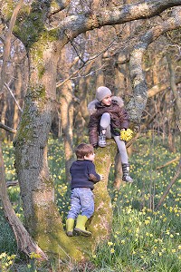 ILLUSTRATION BAIE DE SOMME, SOMME, PICARDIE, FRANCE 