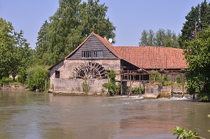 ILLUSTRATION BAIE DE SOMME, SOMME, PICARDIE, FRANCE 