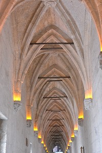 ILLUSTRATION VILLE D'AVIGNON, VAUCLUSE, FRANCE 