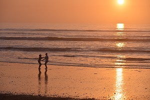ILLUSTRATION BAIE DE SOMME, SOMME, PICARDIE, FRANCE 