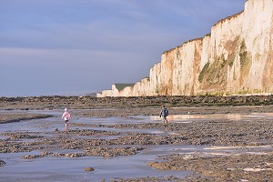 ILLUSTRATION BAIE DE SOMME, SOMME, PICARDIE, FRANCE 