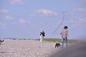 ILLUSTRATION BAIE DE SOMME, SOMME, PICARDIE, FRANCE 