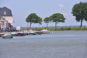 ILLUSTRATION BAIE DE SOMME, SOMME, PICARDIE, FRANCE 