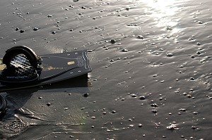 BAIE DE SOMME, FRANCE 