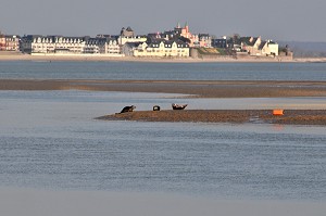 BAIE DE SOMME ET BAIN DE LUMIERE, FRANCE 