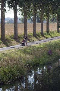BAIE DE SOMME, FRANCE 