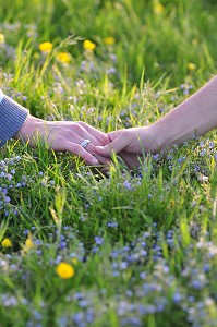BAIE DE SOMME, FRANCE 