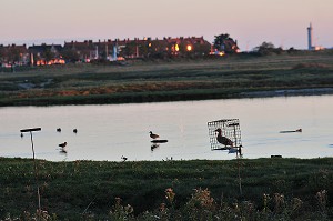 BAIE DE SOMME, FRANCE 