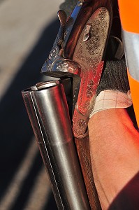 DETAIL DE LA PLATINE DECOREE D'UN FUSIL DE CHASSE CASSE SUR LE BRAS DU CHASSEUR 