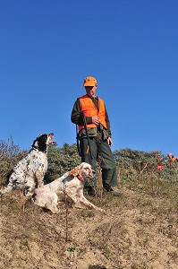 CHASSEUR ET SES CHIENS (EPAGNEULS), PAS-DE-CALAIS (62), FRANCE 