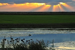 BAIE DE SOMME ET BAIN DE LUMIERE, FRANCE 