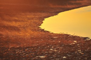 BAIE DE SOMME, FRANCE 