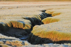BAIE DE SOMME, FRANCE 